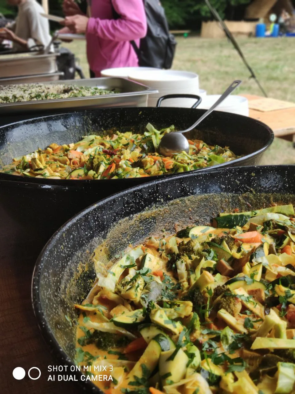 Service de catering végétarien en plein air lors d'un événement festif